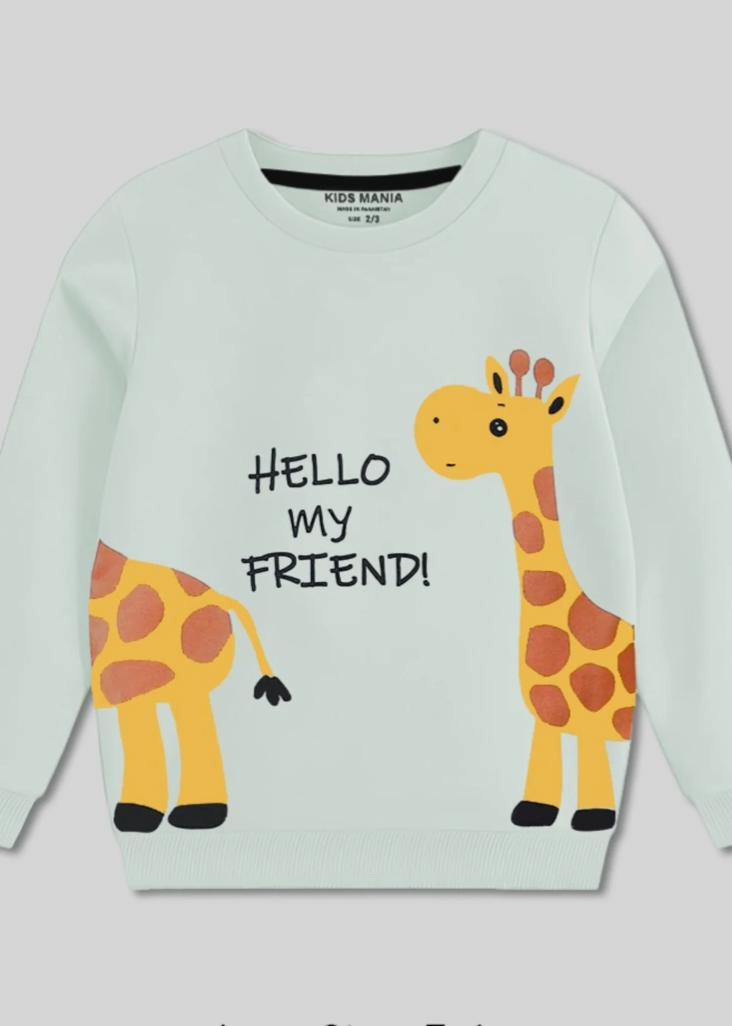 fleece Sweatshirt in Tea green
