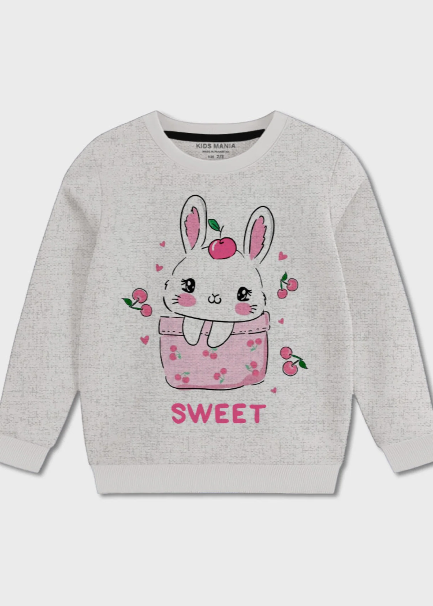 fleece Sweatshirt in Light grey - view 4