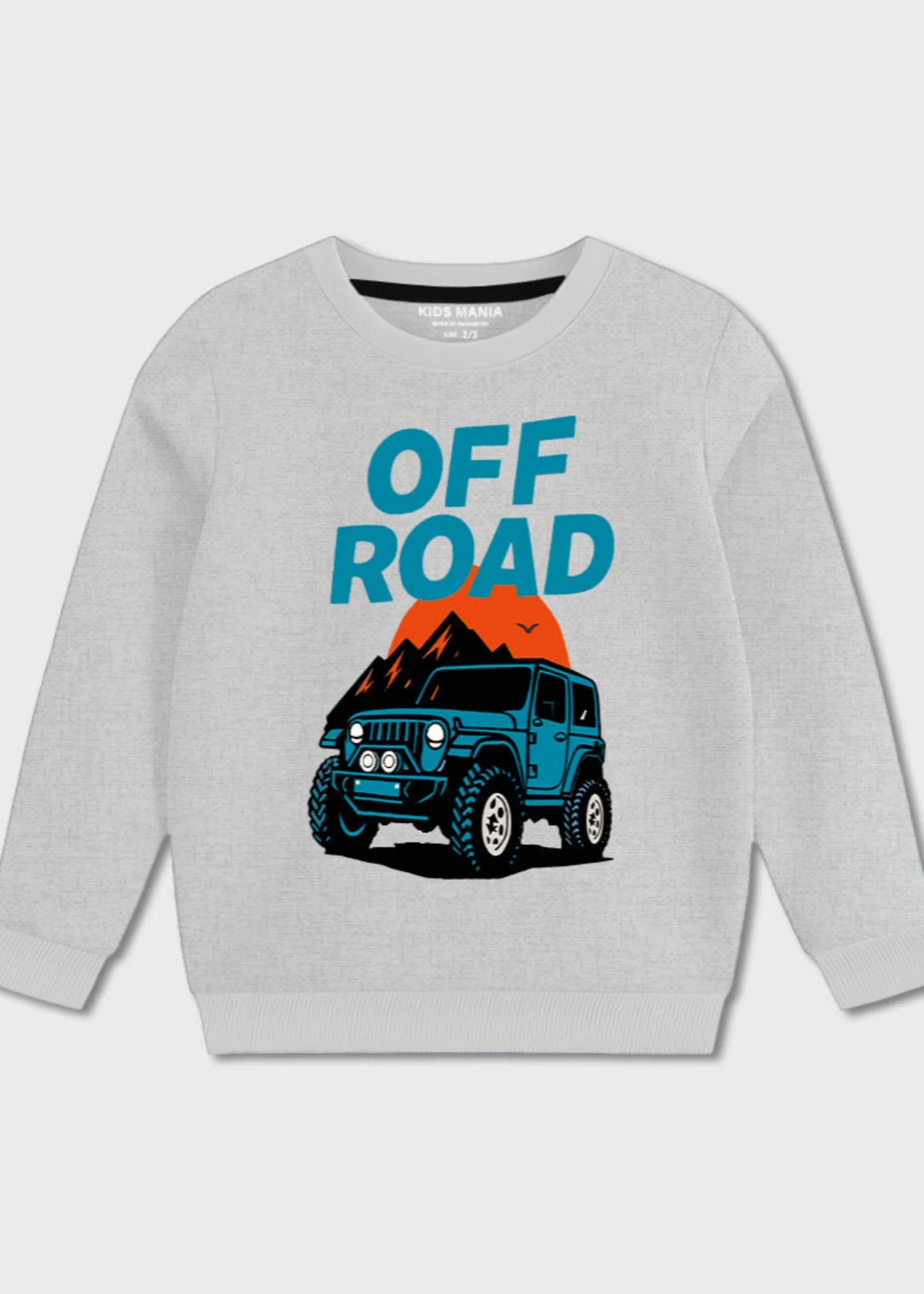 fleece Sweatshirt in Grey