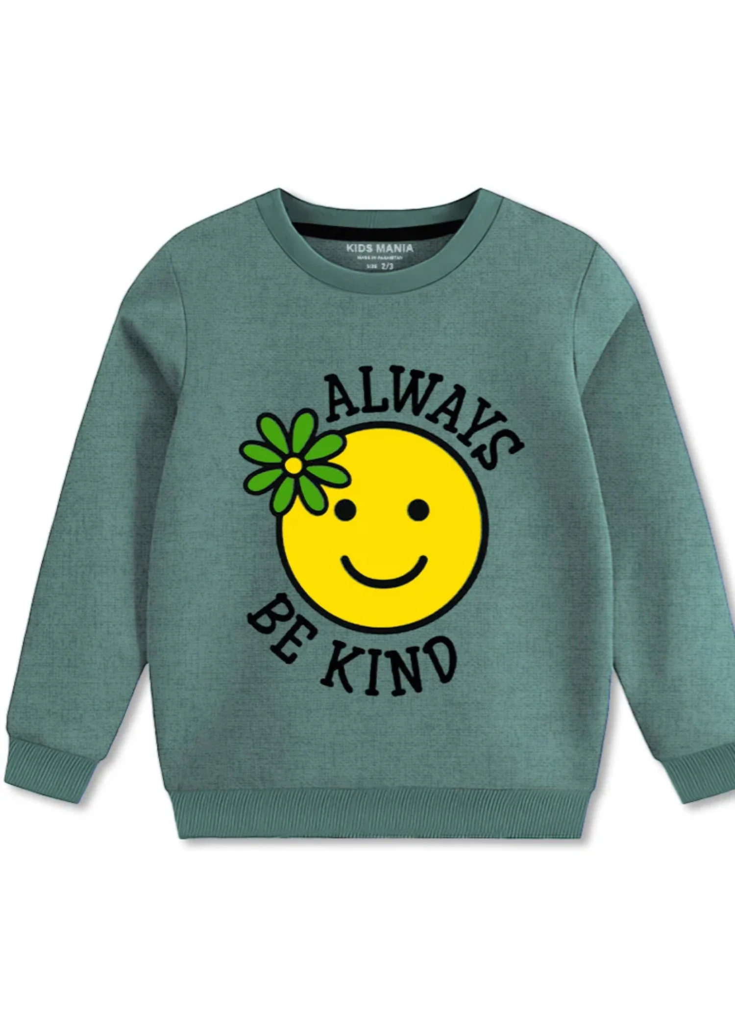 fleece Sweatshirt in Sea green