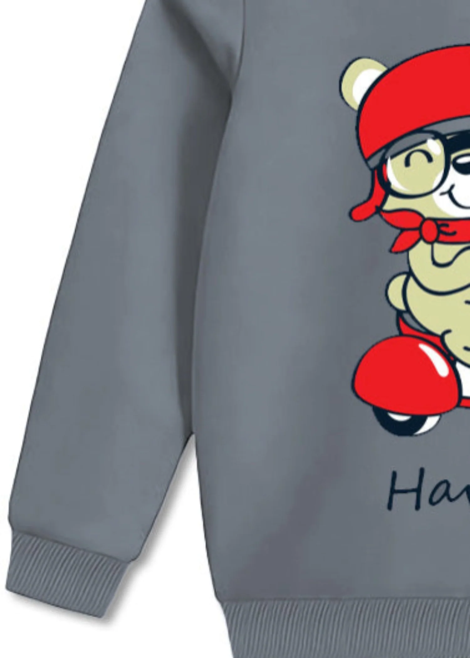 fleece Sweatshirt in Grey - view 3