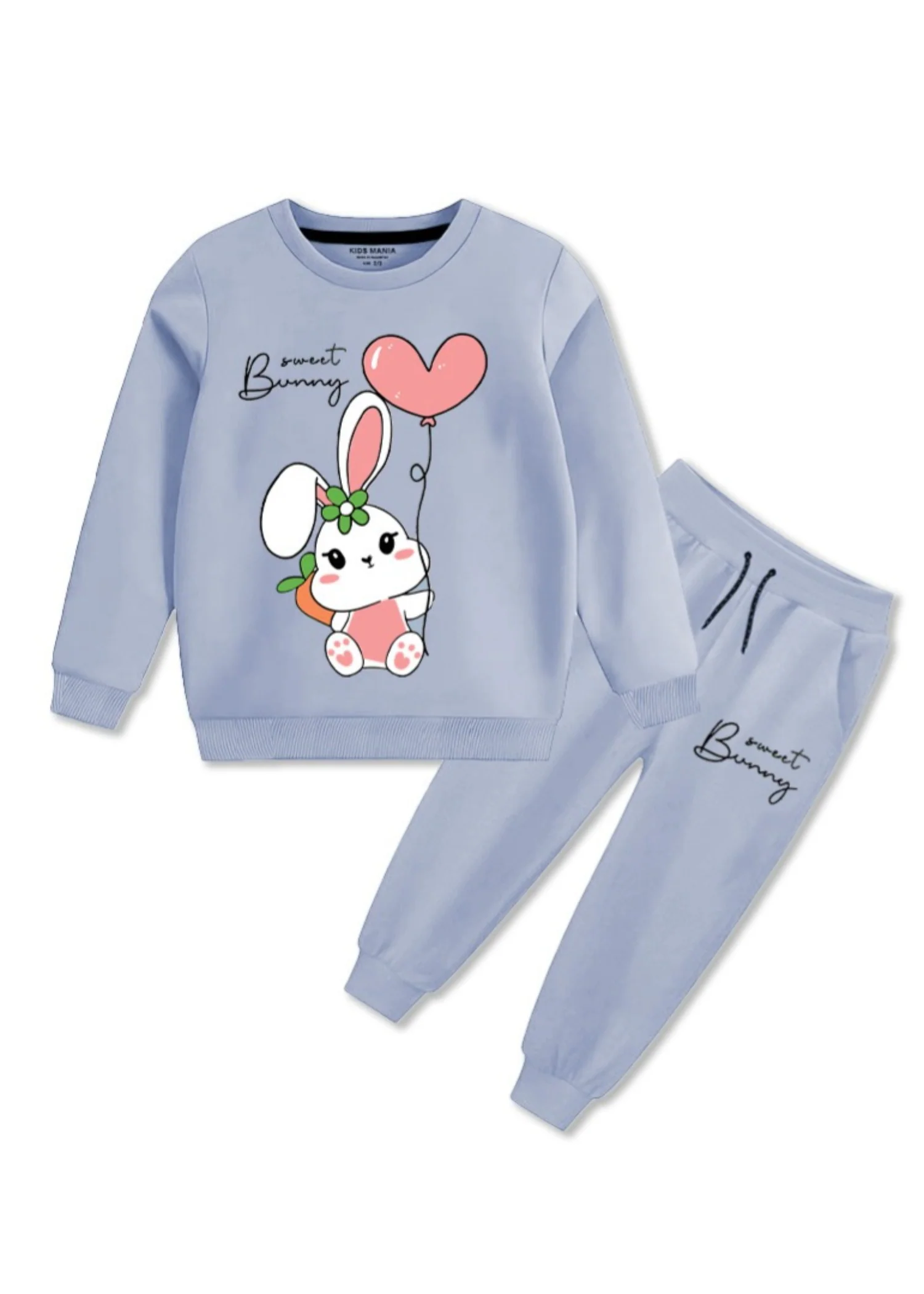 fleece Sweatshirt in Sky blue
