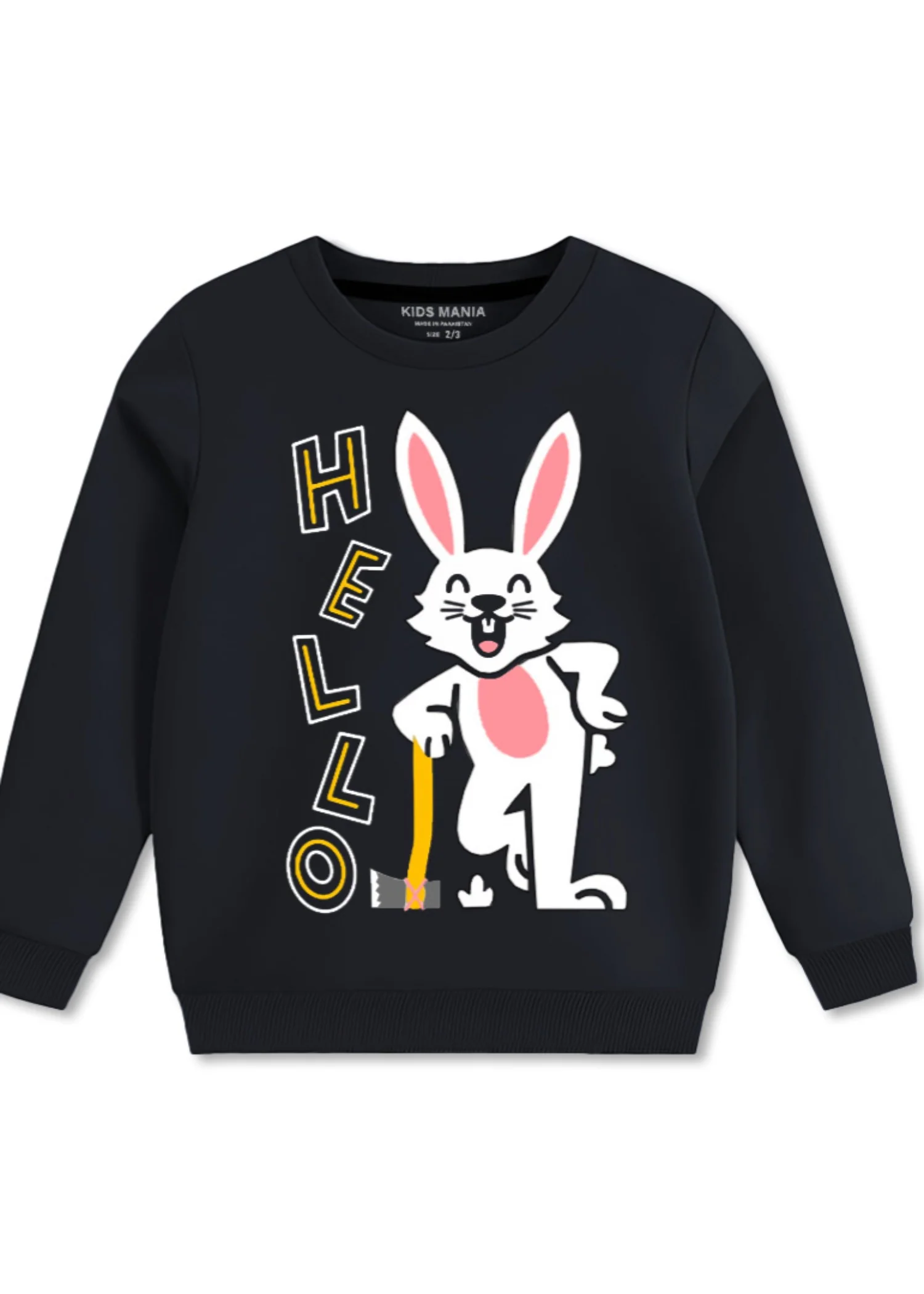 fleece Sweatshirt in Charcoal