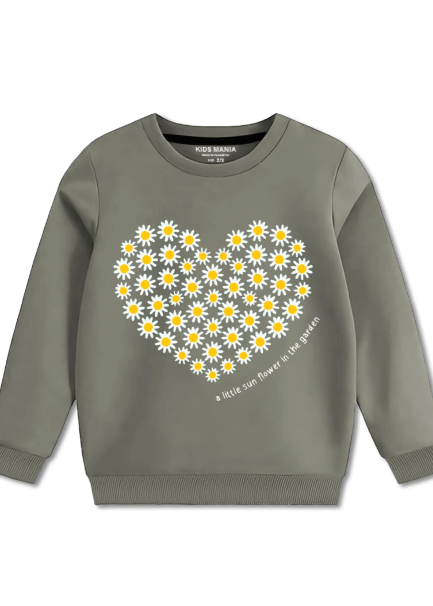 fleece Sweatshirt in Sage green