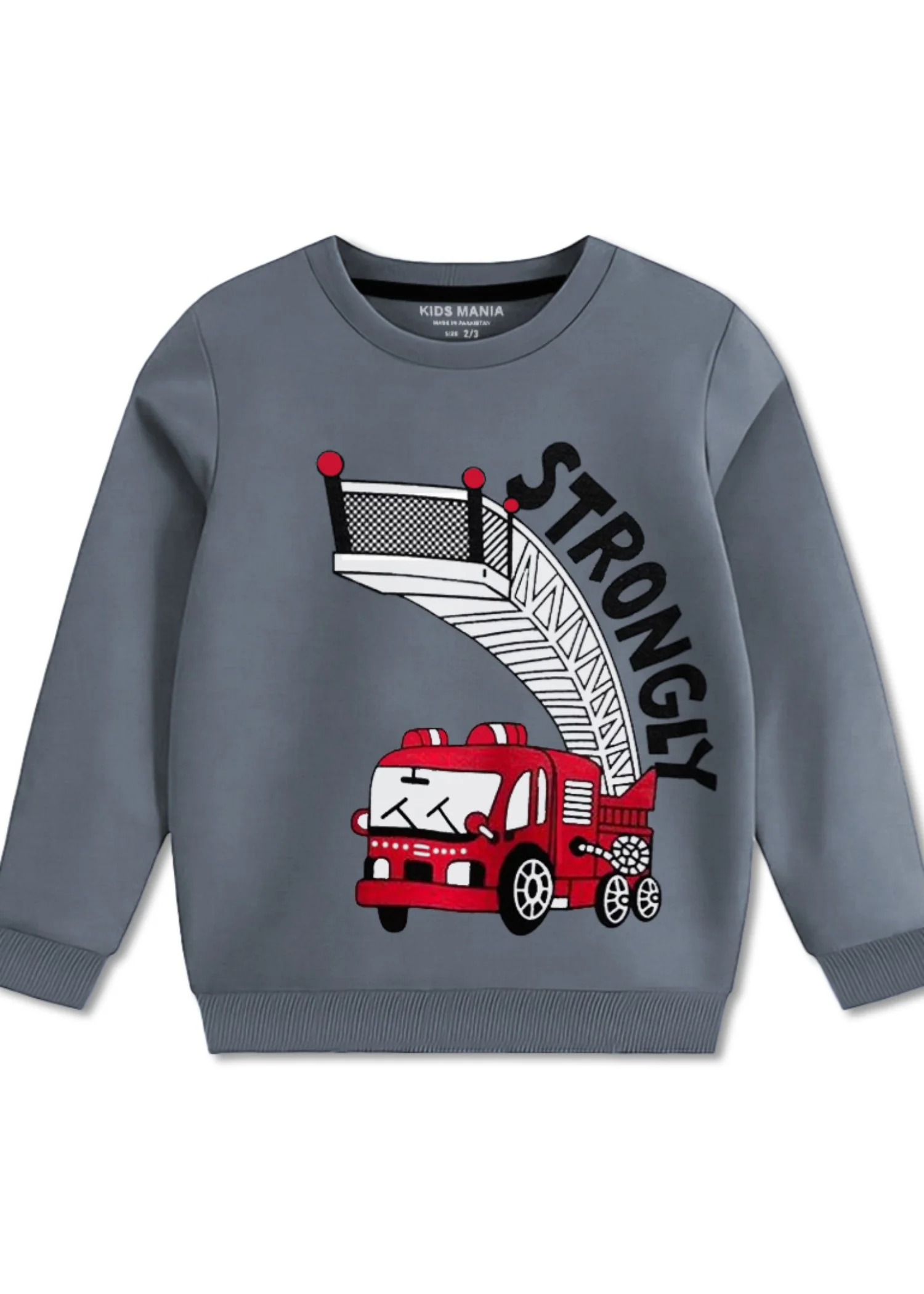 fleece Sweatshirt in Slate grey - view 2