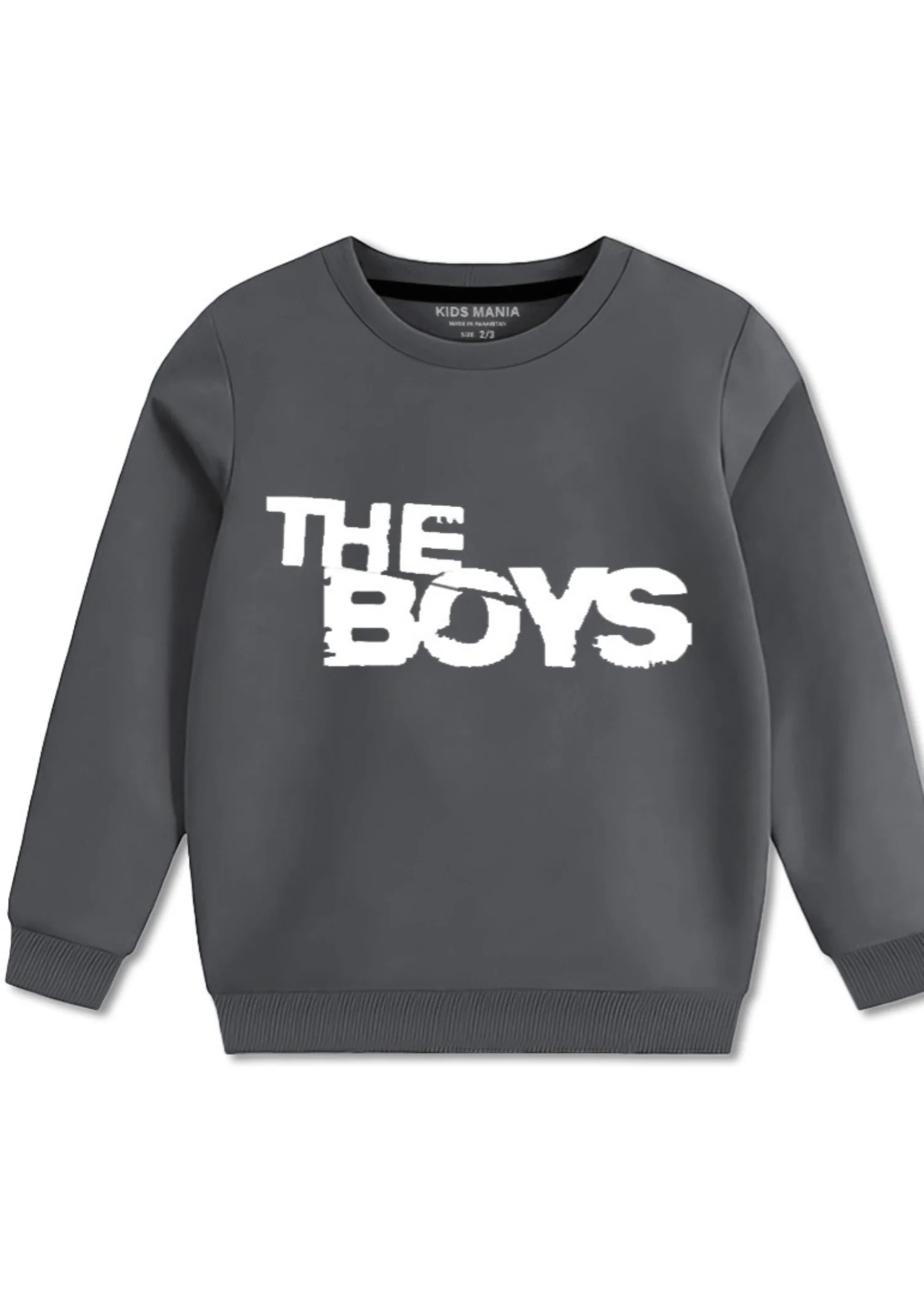 fleece Sweatshirt in Grey