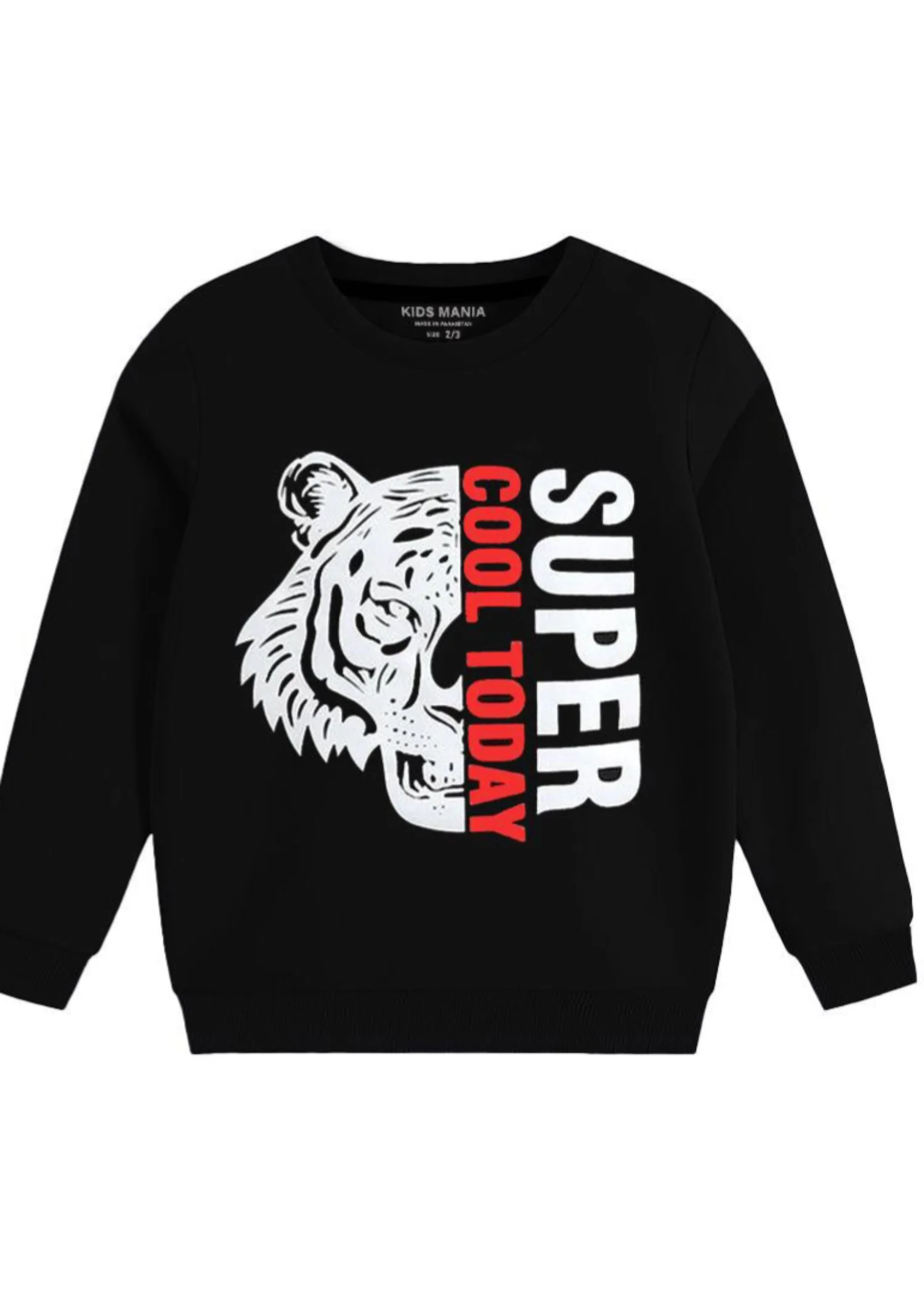 fleece Sweatshirt in Black