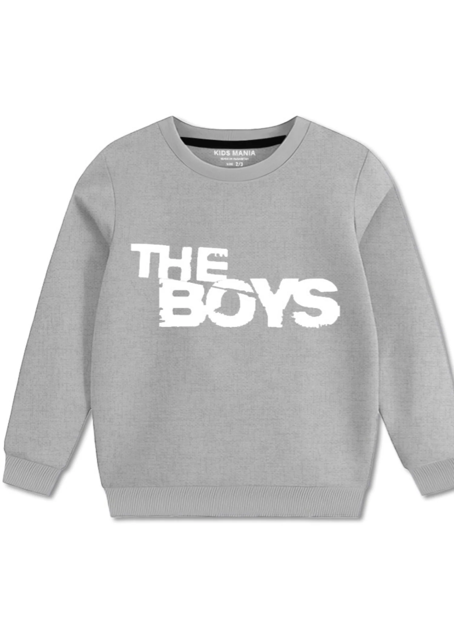 fleece Sweatshirt in Pastel grey