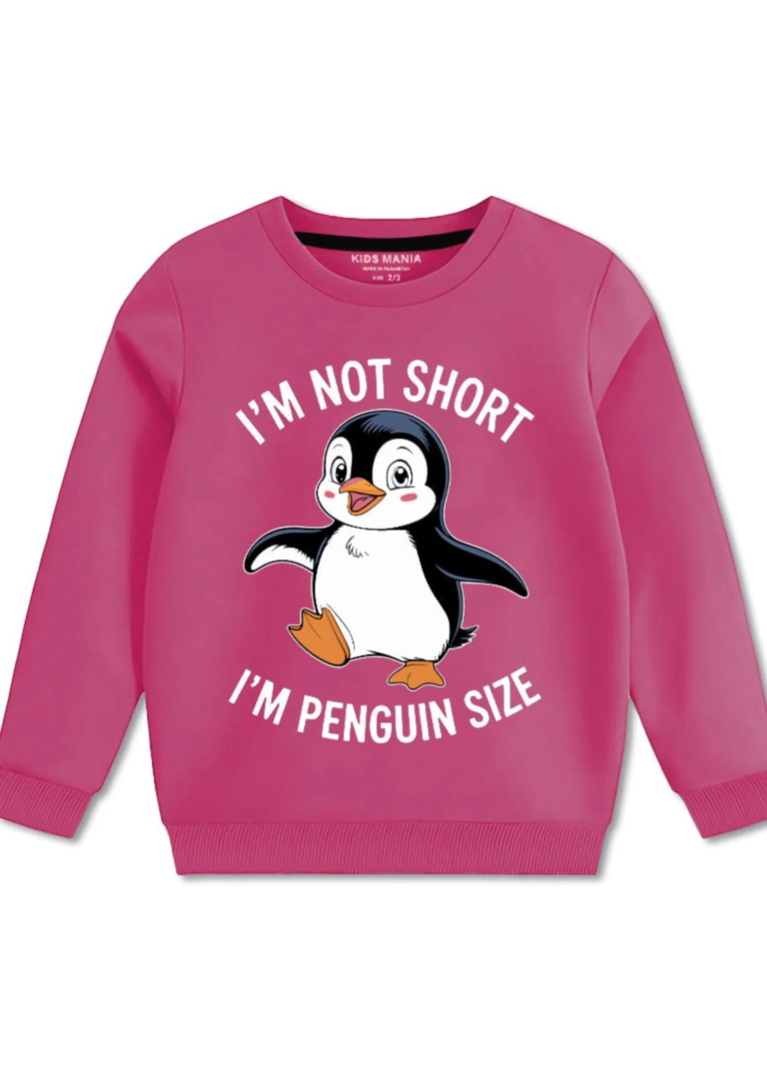fleece Sweatshirt in Bubblegum pink