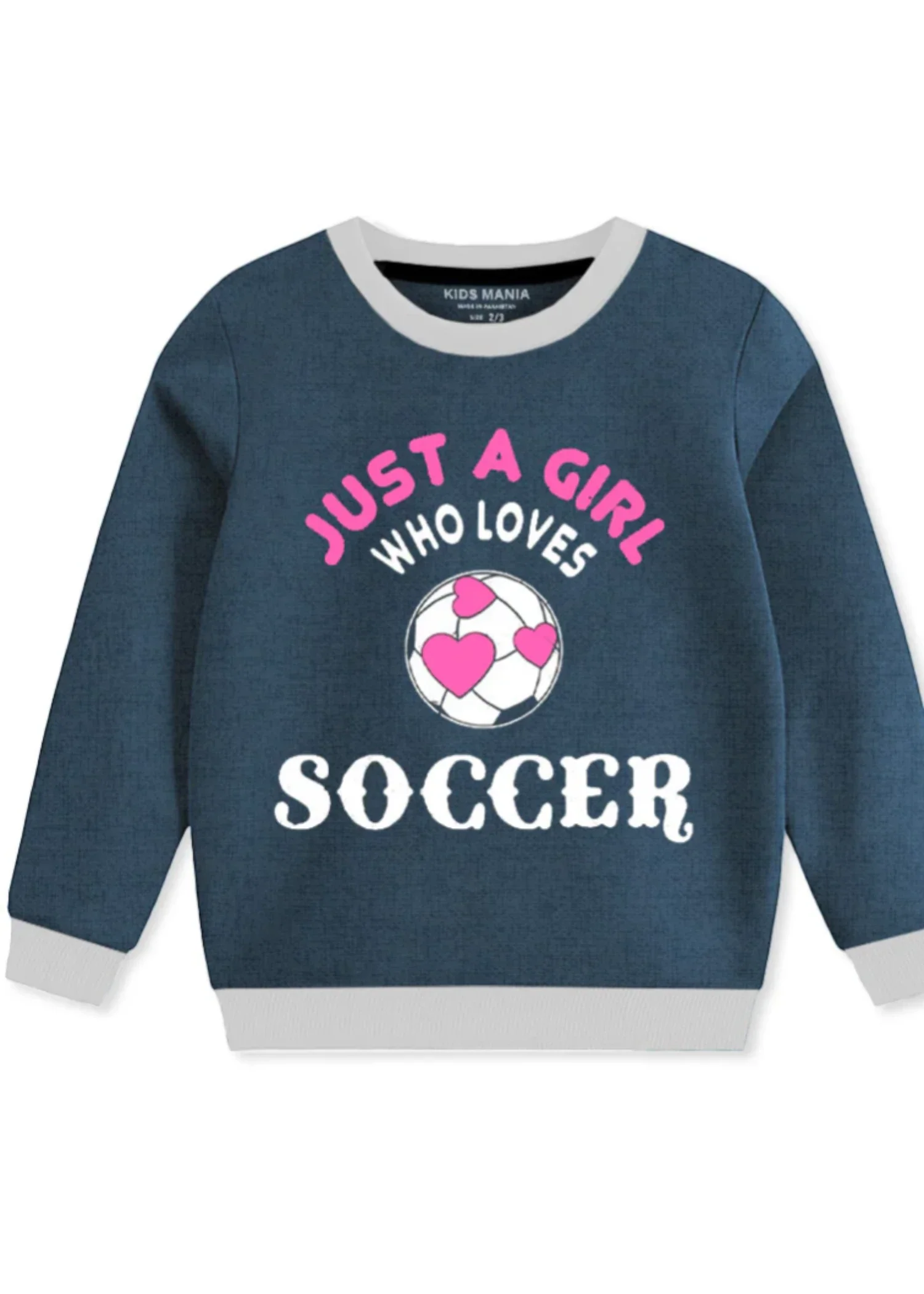 fleece Sweatshirt in Steel blue