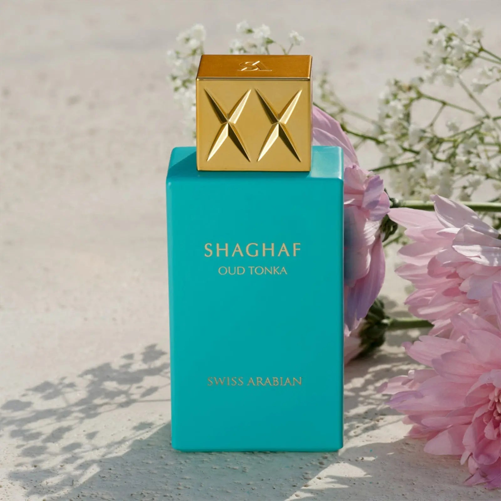 Hot Selling Classic Perfume Arabian Shaghaf Oud Tonka Arabic Men&Women Perfume  Cologne - detail 4