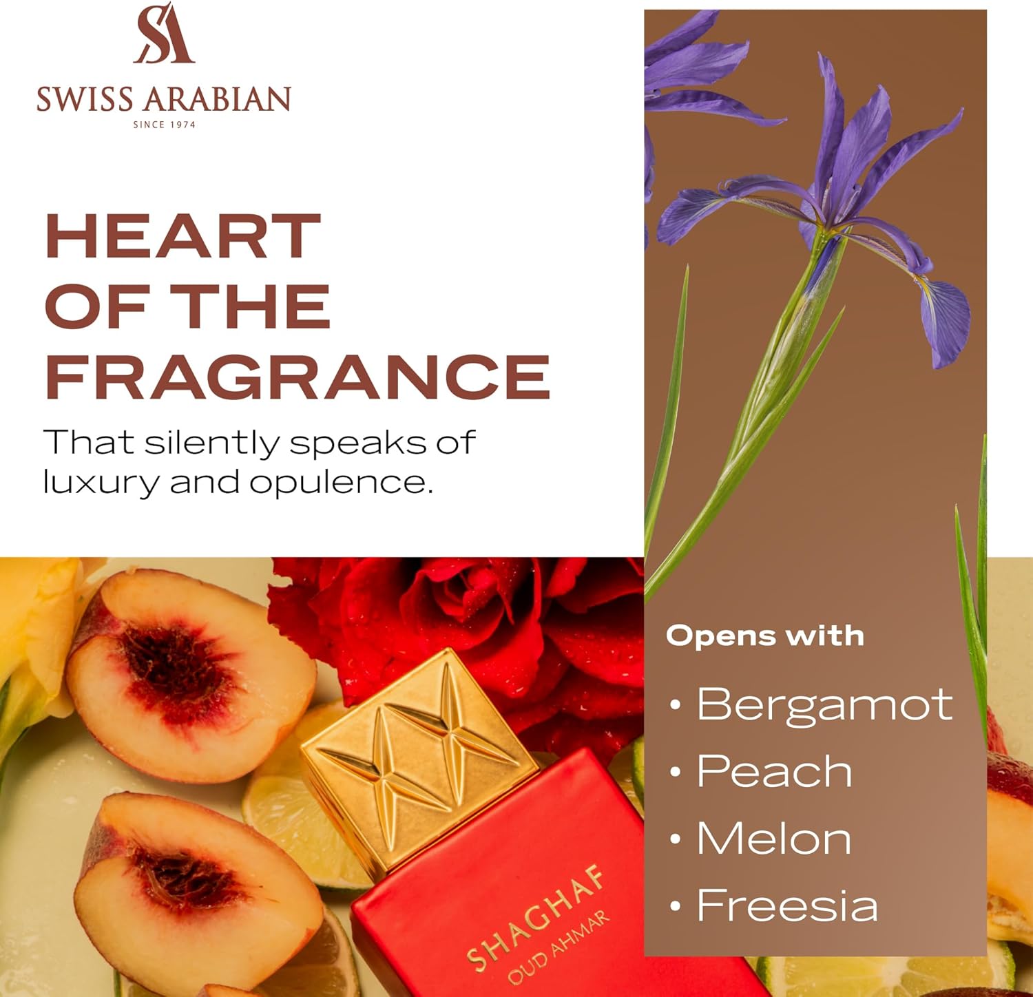 Hot Selling Classic Perfume Arabian Shaghaf Oud Tonka Arabic Men&Women Perfume  Cologne - detail 5
