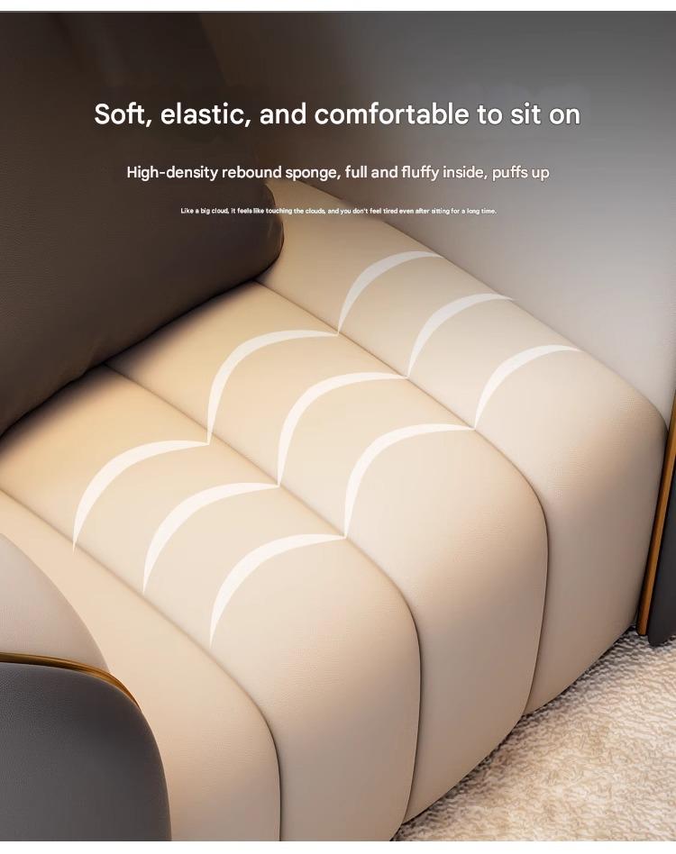 Luxury European Sofa Inspired by Arabian Design Elegant 2‑Seater for Office Salon Reception Hotel Lounge & Living Room - detail 4